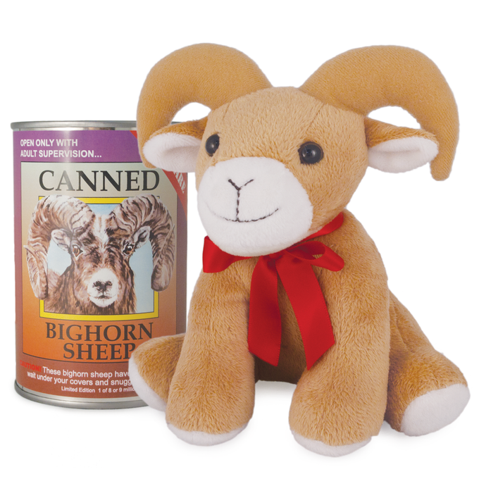 Canned Bighorn Sheep