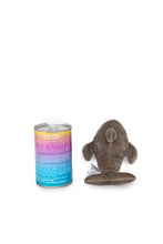 6" Canned Dolphin