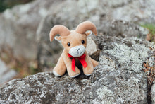 6" Canned Bighorn Sheep