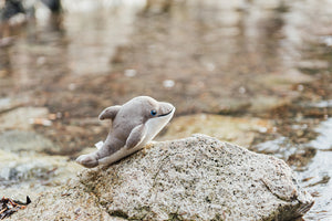 6" Canned Dolphin