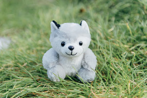 4" Mini Canned Husky